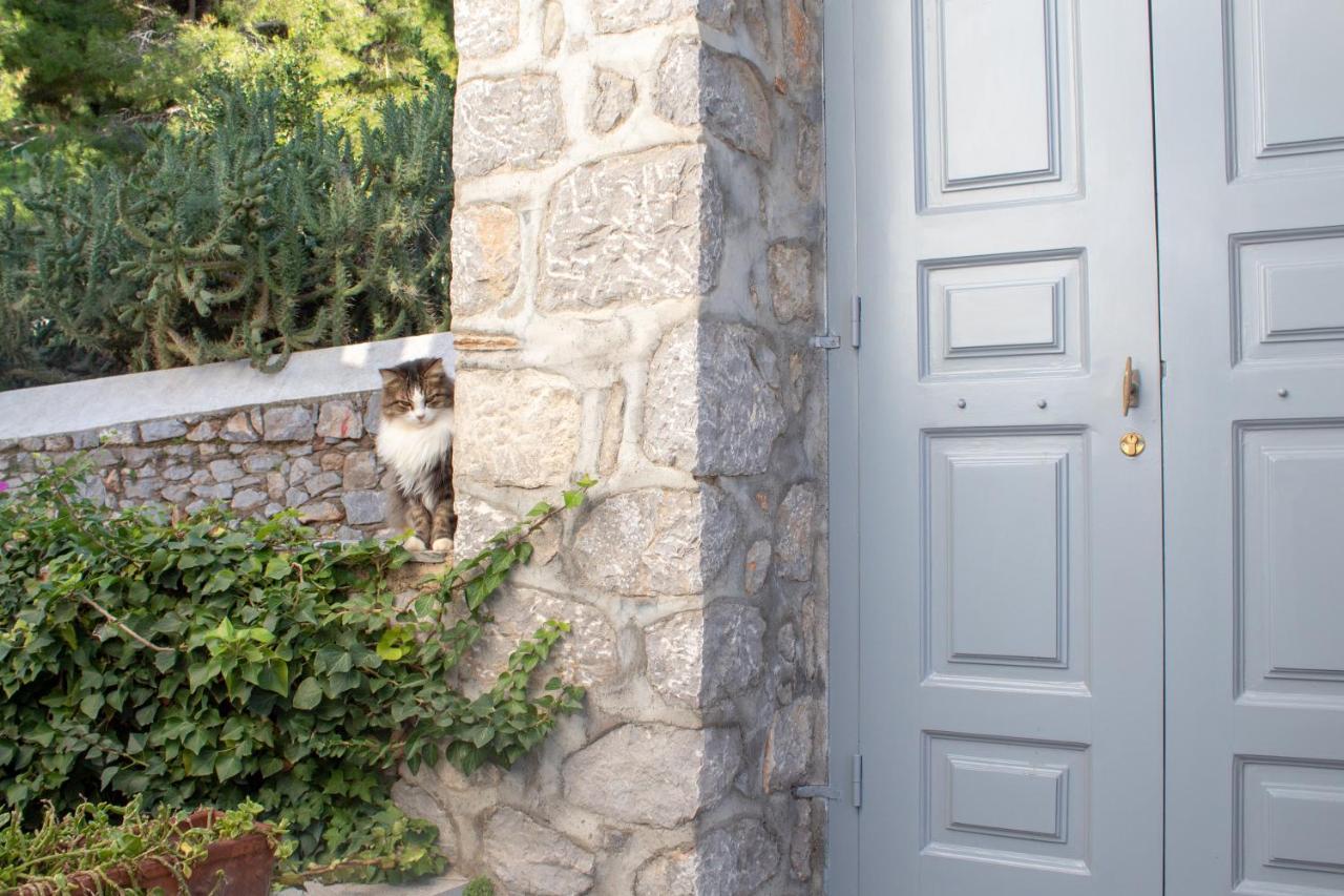 Pine Trees And Sea View Houses In Hydra - Daphne, Chloe, Myrto, Eleni المظهر الخارجي الصورة