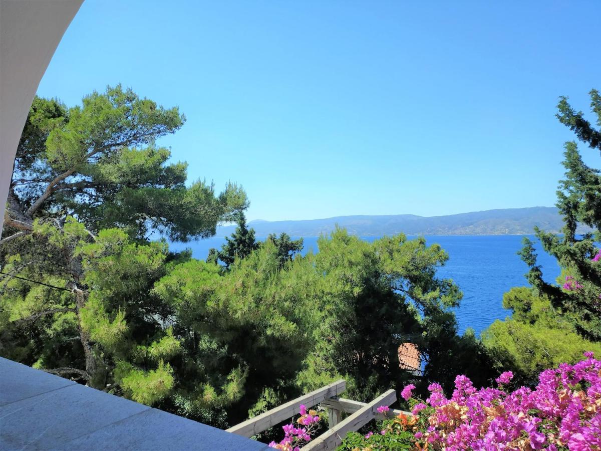 Pine Trees And Sea View Houses In Hydra - Daphne, Chloe, Myrto, Eleni المظهر الخارجي الصورة