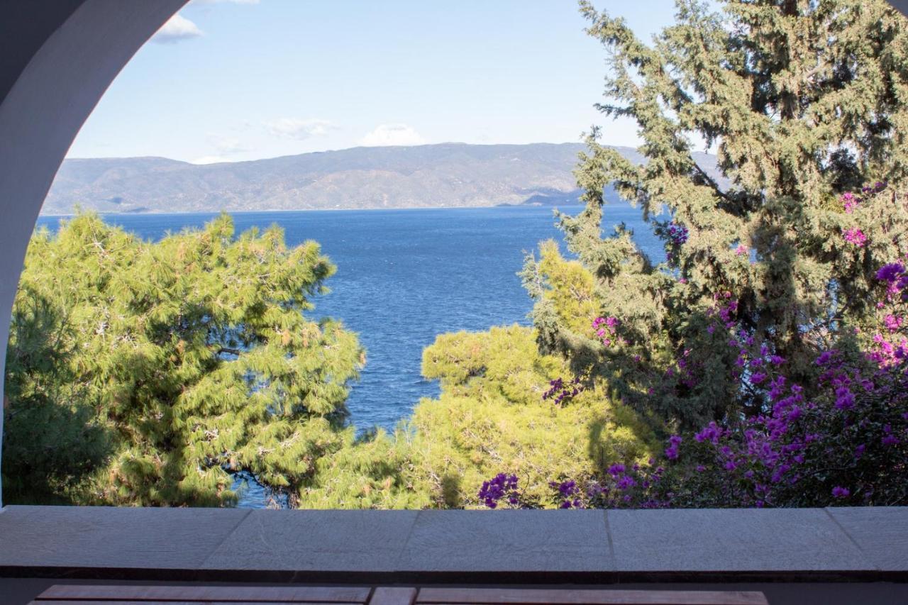 Pine Trees And Sea View Houses In Hydra - Daphne, Chloe, Myrto, Eleni المظهر الخارجي الصورة