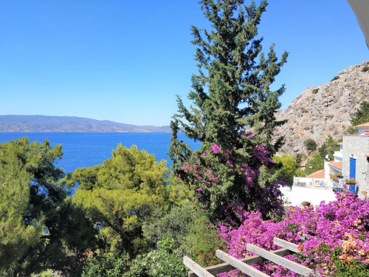Pine Trees And Sea View Houses In Hydra - Daphne, Chloe, Myrto, Eleni المظهر الخارجي الصورة