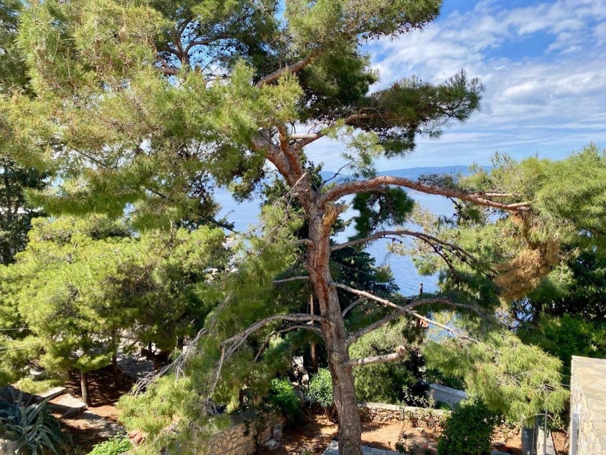 Pine Trees And Sea View Houses In Hydra - Daphne, Chloe, Myrto, Eleni المظهر الخارجي الصورة