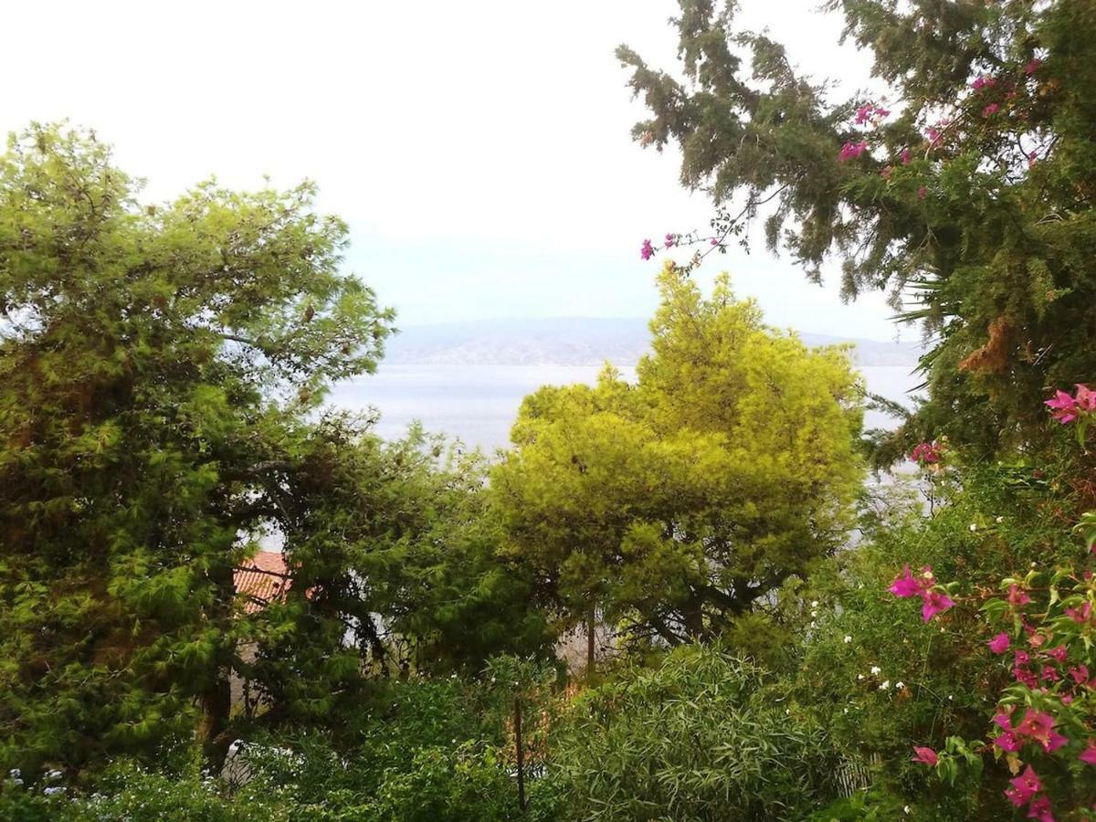 Pine Trees And Sea View Houses In Hydra - Daphne, Chloe, Myrto, Eleni المظهر الخارجي الصورة