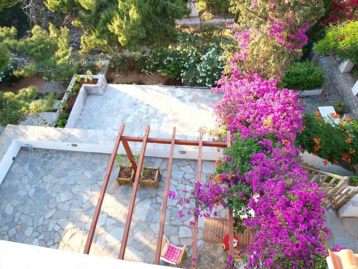 Pine Trees And Sea View Houses In Hydra - Daphne, Chloe, Myrto, Eleni المظهر الخارجي الصورة